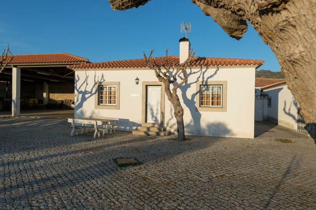 Quinta Sta Luzia Carrascal Vila Vila Flor Exterior foto